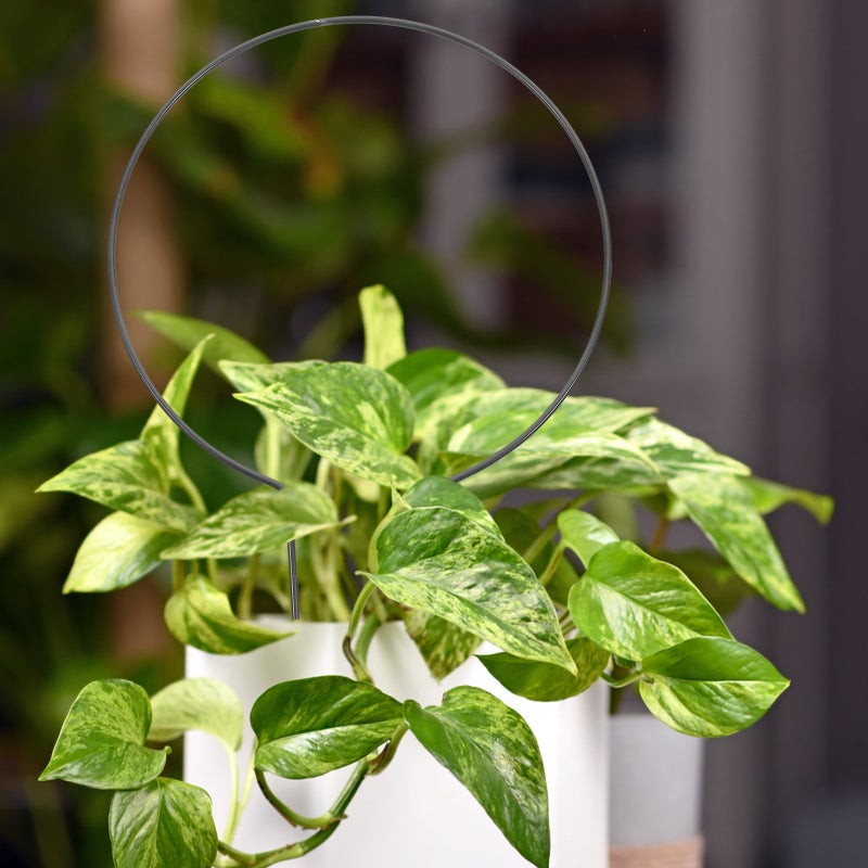 2pcs Decorative Plant Stand Gardening Tools Iron Plants Climbing Holder Rack - Image 2