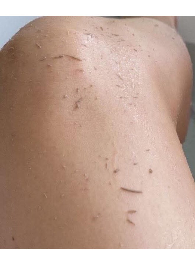 الحمام المغربي - Image 2