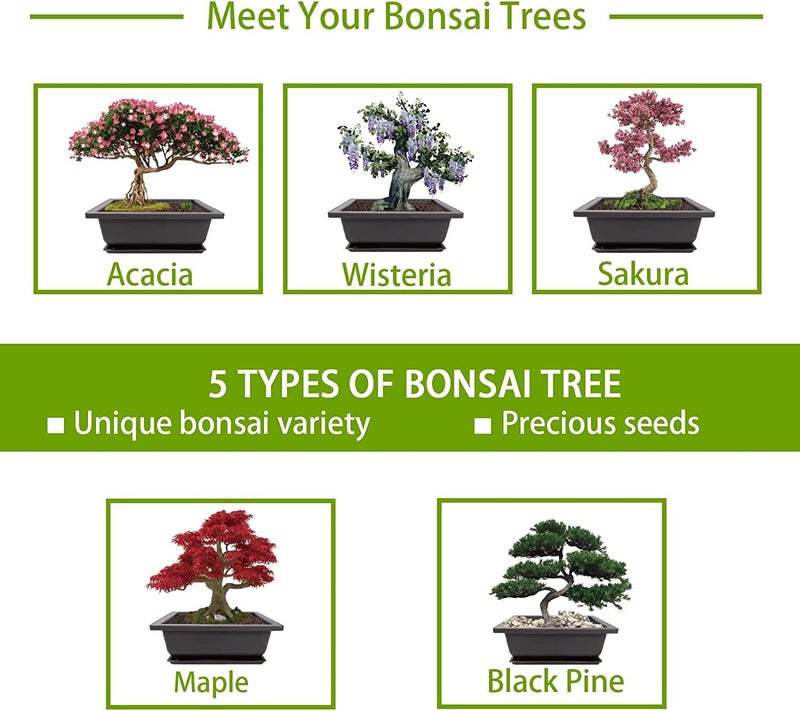 Meekear Indoor Starter Kit with Complete Planting Tools, Gardening DIY Gift for Plant Lovers - Image 4