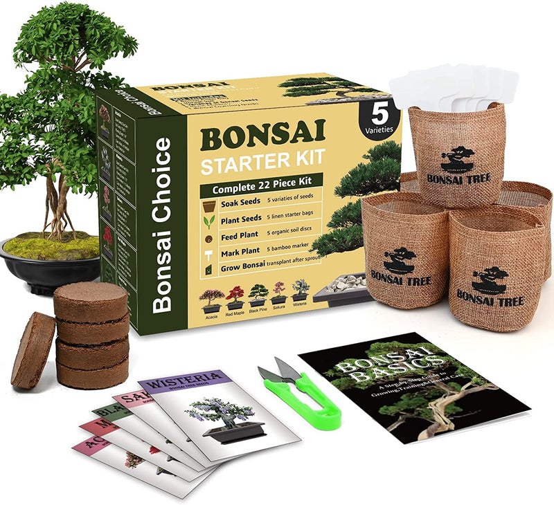 Meekear Indoor Starter Kit with Complete Planting Tools, Gardening DIY Gift for Plant Lovers - Image 1