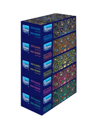Soft Facial Tissue 200 Sheets x 2 Ply Pack of 5 - pzsku/Z439AABF7AF1747F0F8A2Z/45/1745241620/c499b77f-1fe2-4db0-a29e-87f75077e5f5