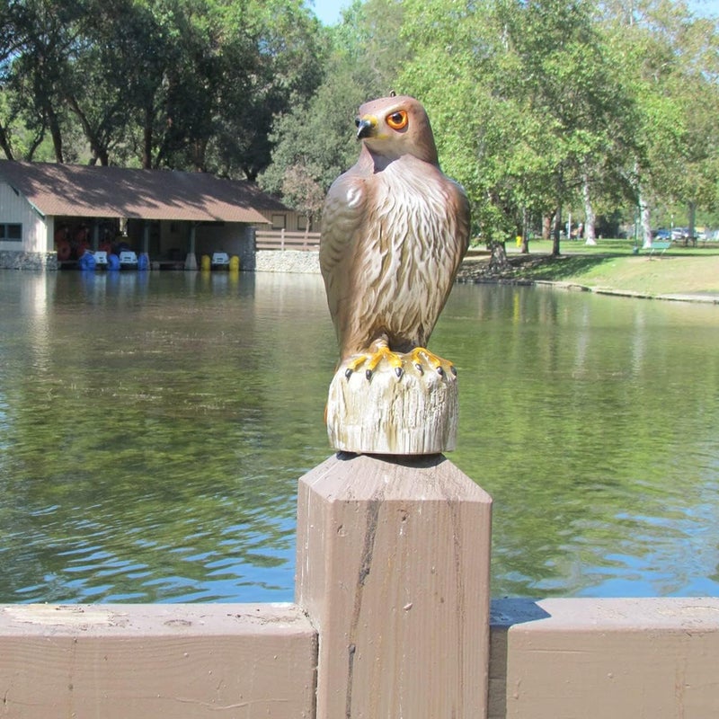 Bird Scarecrow Fake Horned Hawk Decoy, Bird Repellent Garden Protectors, Natural Enemy Pest Deterrent Scarecrow, Garden Statue Cat and Bird Repeller - Image 1