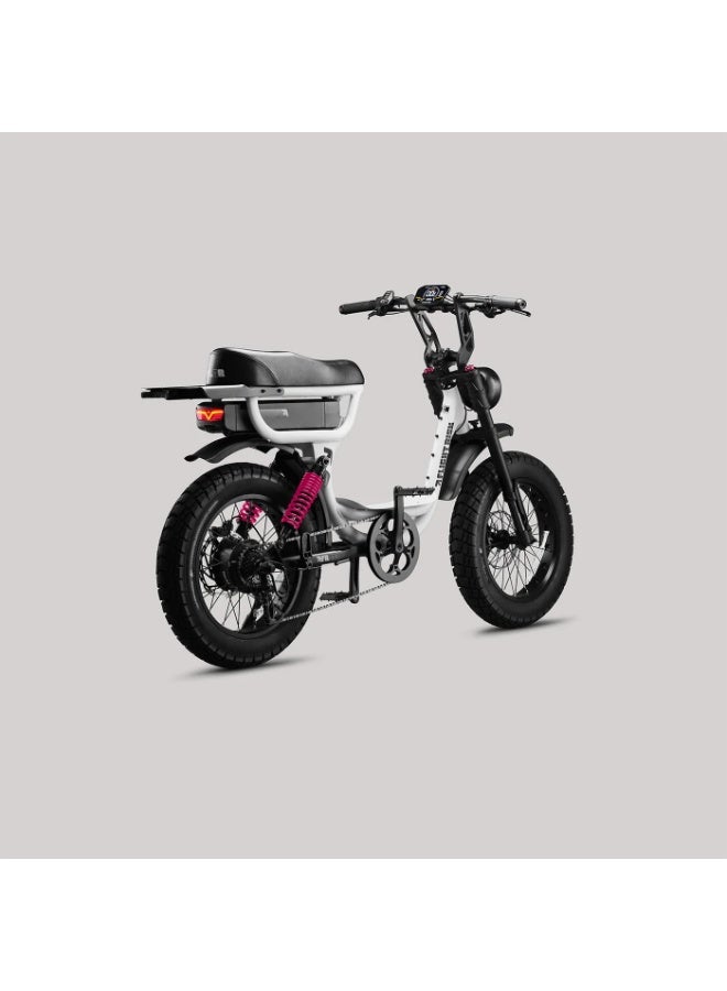 فلايت ريسك FR333 Electric Bike with Front & Rear Suspension, 1000W Max Power Output, and 4-Piston Tektro Hydraulic Disc Brakes - Image 3