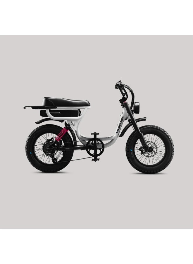 فلايت ريسك FR333 Electric Bike with Front & Rear Suspension, 1000W Max Power Output, and 4-Piston Tektro Hydraulic Disc Brakes - Image 4