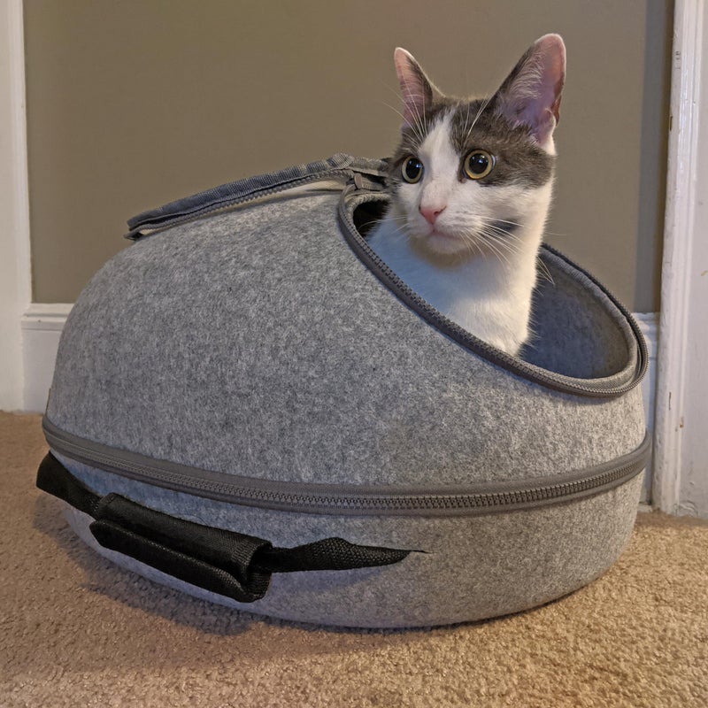 SPOT Doc & Phoebeâ€™s 3-in-1 Sleep & Go Cat Carrier | Portable Pet Travel Bag for Cats and Small Dogs | Converts to Carrier, Cozy Cave and Comfy Bed | Adjustable Shoulder Strap Perfect for Vet Visits - Image 4