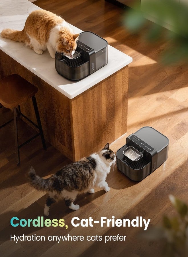 أوني سال نافورة مياه لاسلكية للقطط من ون إز أول، بدون فلتر، مزودة بوعاء من الفولاذ المقاوم للصدأ، سعة 3.5 لتر/118 أونصة، هادئة، بدون فلتر، موزع مياه ذكي أوتوماتيكي للقطط للاستخدام الداخلي، أسود - Image 5