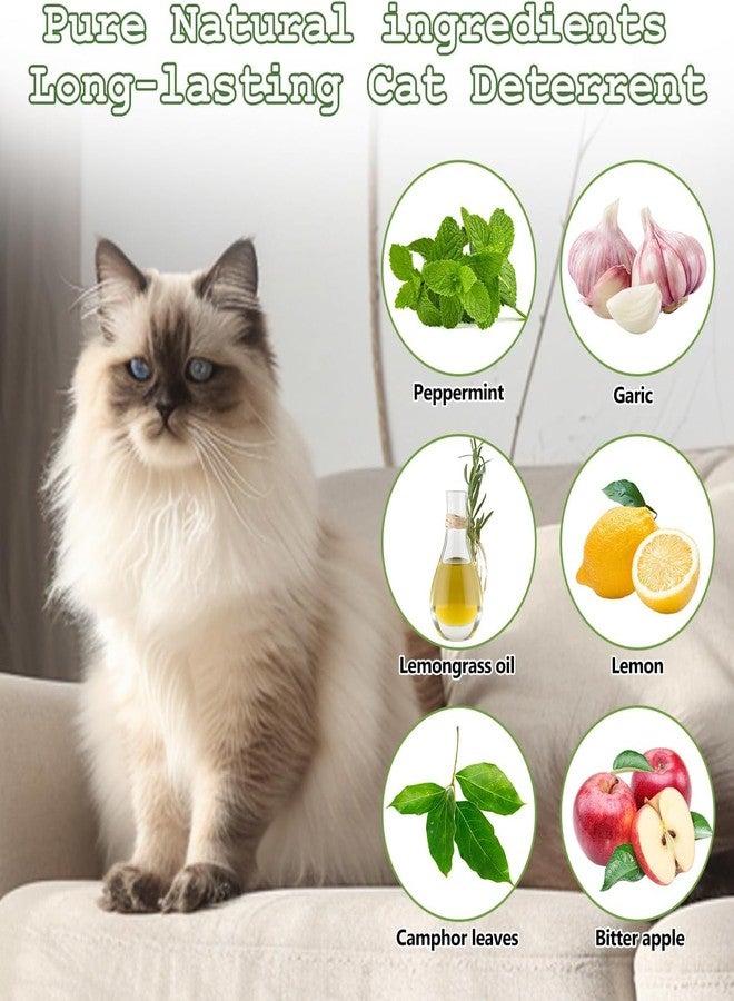 GRAMIT Cat Deterrent Outdoor, Dog Deterrent, Natural Peppermint Oil Cat&Dog Deterrent Outdoor and Indoor, Keep Cats Out of Yard Permanently, Protect (1) - Image 2