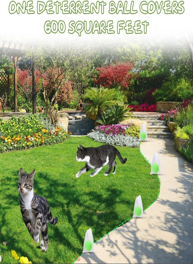 GRAMIT Cat Deterrent Outdoor, Dog Deterrent, Natural Peppermint Oil Cat&Dog Deterrent Outdoor and Indoor, Keep Cats Out of Yard Permanently, Protect (1) - Image 3