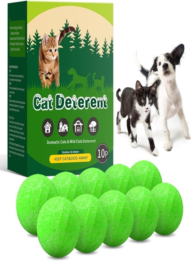 GRAMIT Cat Deterrent Outdoor, Dog Deterrent, Natural Peppermint Oil Cat&Dog Deterrent Outdoor and Indoor, Keep Cats Out of Yard Permanently, Protect (1) - Image 1