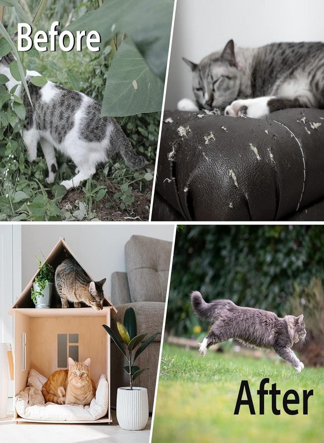 GRAMIT Cat Deterrent Outdoor, Dog Deterrent, Natural Peppermint Oil Cat&Dog Deterrent Outdoor and Indoor, Keep Cats Out of Yard Permanently, Protect (1) - Image 5