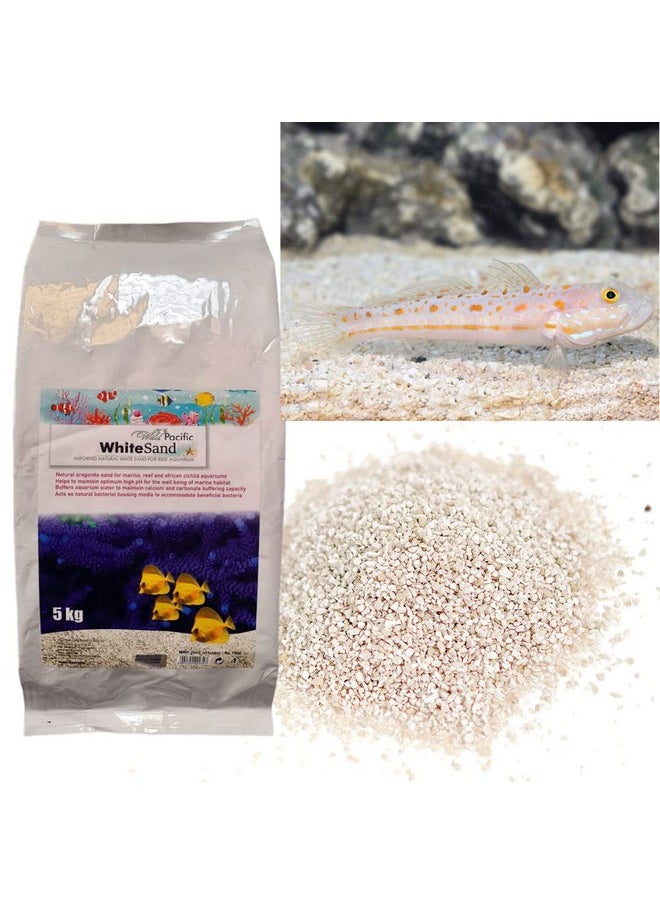 VAYINATO VAYINATO Aquatic Remedies Wild Pacific White Sand, 5 Kg, Imported Natural White Marine Sand For Reef Aquarium  - Image 1