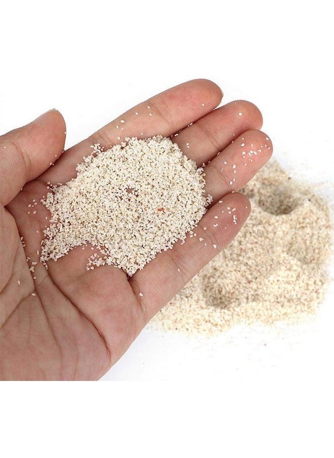 VAYINATO VAYINATO Aquatic Remedies Wild Pacific White Sand, 5 Kg, Imported Natural White Marine Sand For Reef Aquarium  - Image 2