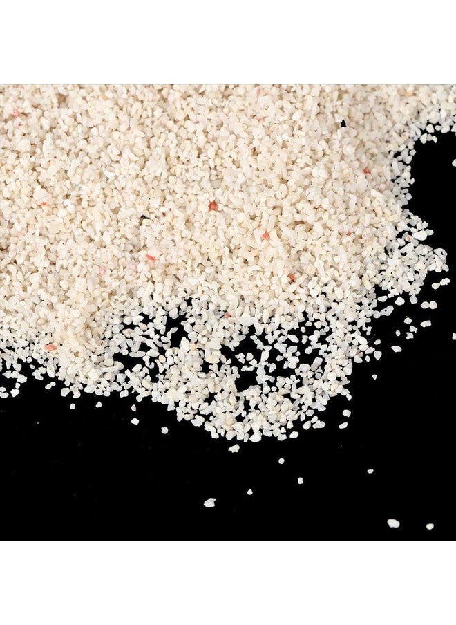VAYINATO VAYINATO Aquatic Remedies Wild Pacific White Sand, 5 Kg, Imported Natural White Marine Sand For Reef Aquarium  - Image 5