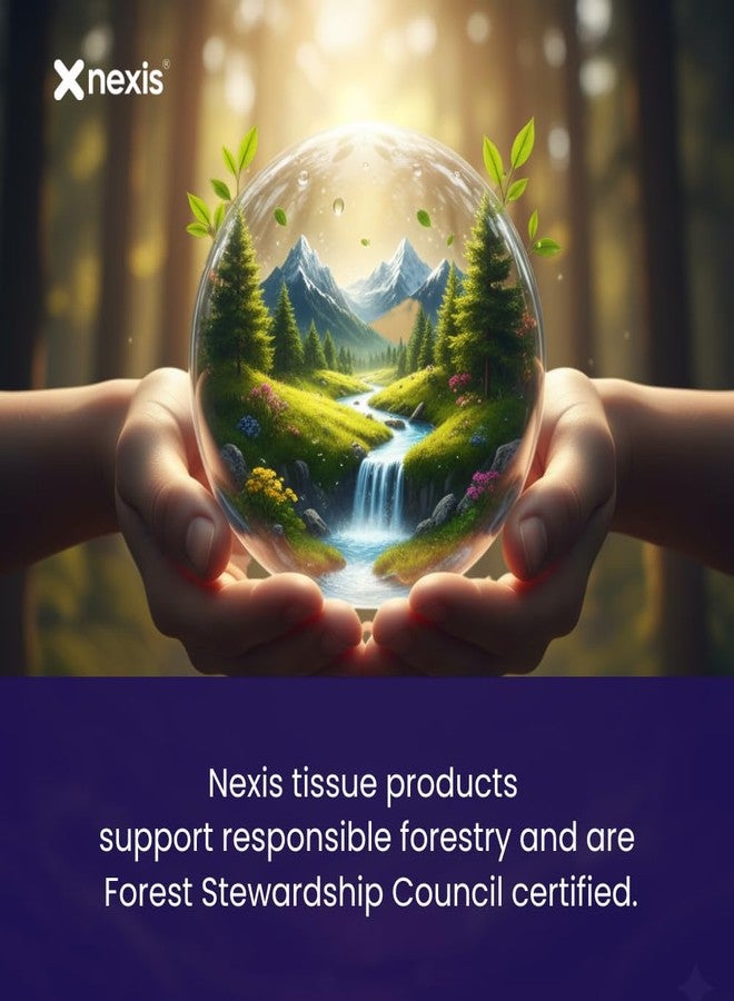 NEXIS - Tissue Rolls 12 Pack | 12-in-1 Strong & Absorbent | 2-Ply Toilet Paper | 3000 Pulls (250 Pulls × 12 Rolls) | Bathroom Tissue | 100% Natural Virgin Cellulose Fiber - Image 3