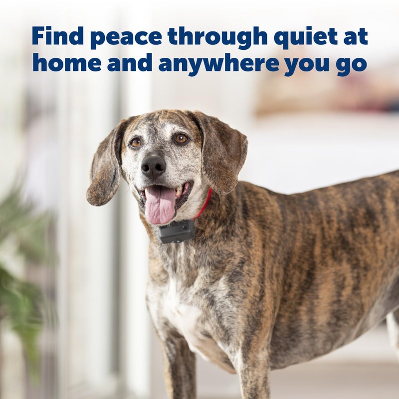 PetSafe Basic Bark Control Collar - Effective & Accurate Bark Detection Collar - Safe & Reliable Training with Multiple Static Stimulation Levels - Waterproof & Battery-Operated - Image 4