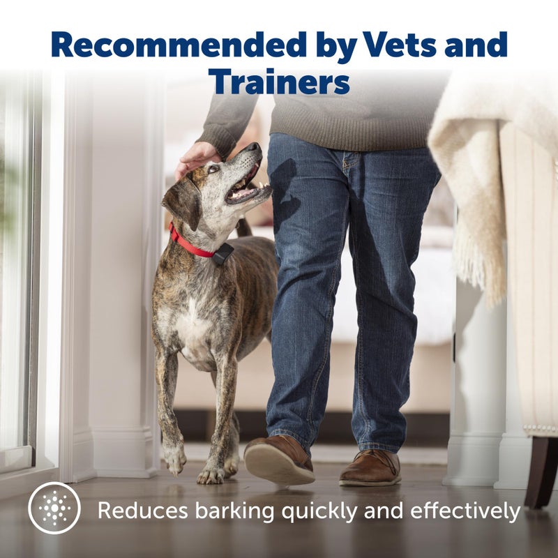 PetSafe Basic Bark Control Collar - Effective & Accurate Bark Detection Collar - Safe & Reliable Training with Multiple Static Stimulation Levels - Waterproof & Battery-Operated - Image 2