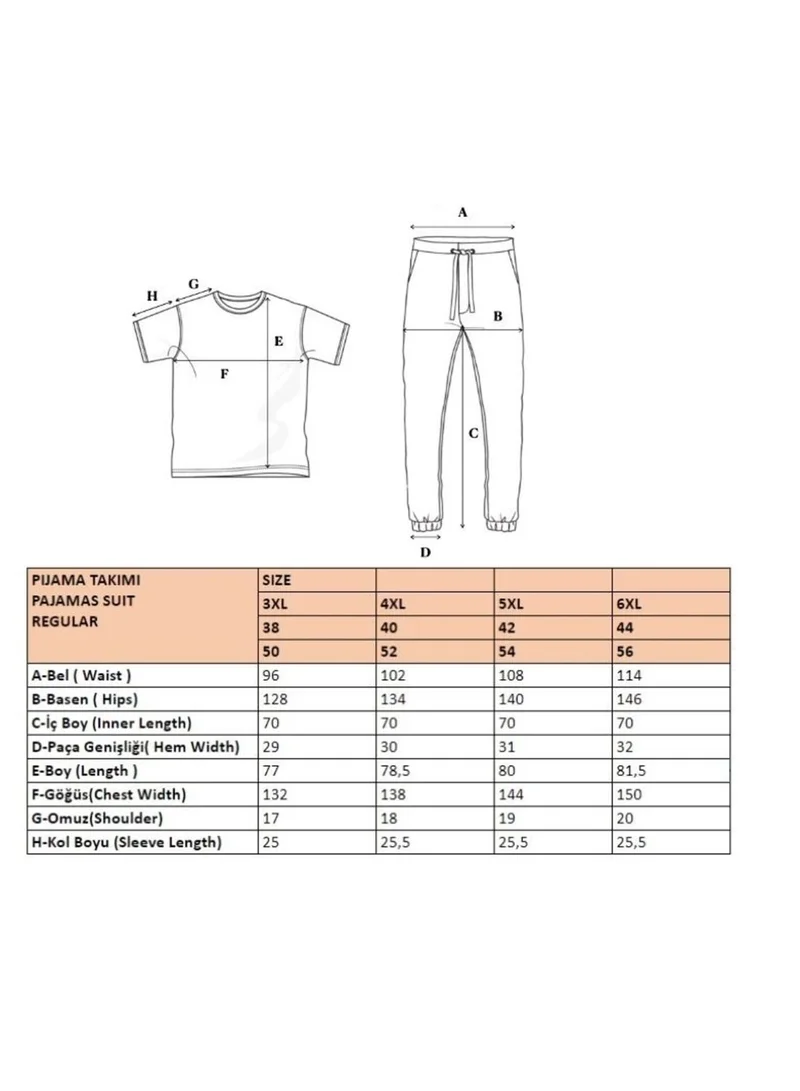 trendyol Color Block Crew Neck T-Shirt & Sweatpants