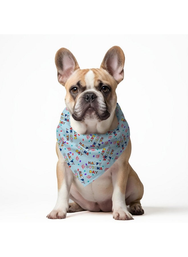W Brings Happy Gotcha Day Woofbox Birthday Celebration Dog Bandana | This Stunning Gorgeous Dog Bandana Scarf Is Perfect For Your Dog’S Birthday Celebration. One Size Fits All. - Image 3