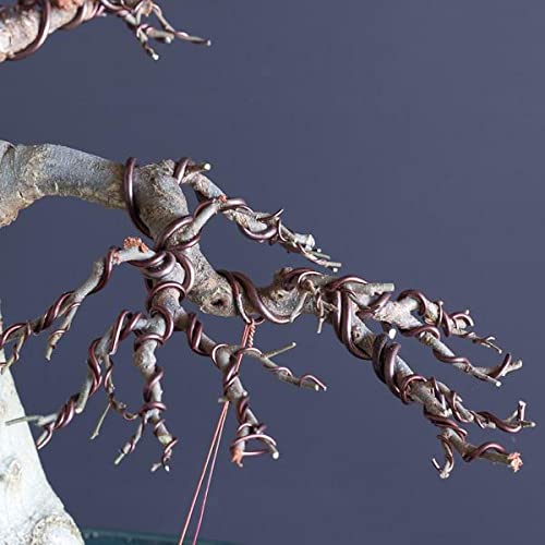 ART IFACT ART IFACT 100 Feets Anodized Aluminium Wire of 2mm 25mm 3mm and 100 Pieces of Cable Ties Bonsai Training Wire Craft Wire 333 Feets Each 2mm 25mm 3mm  - Image 5