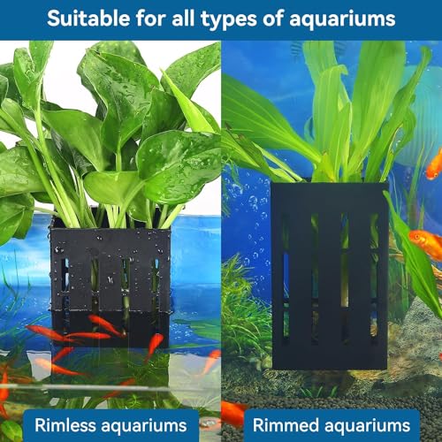 VAYINATO® 2 Pcs Black Hanging Water Plant Holder (Box Type) Pot for Aquarium Fish Tank, Aquaponics and Hydroponics with Hooks for Easy Installation by Petzlifeworld - Image 4