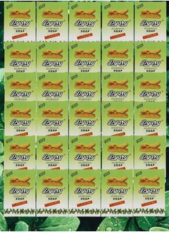 Pyary 30 Pieces Ayurvedic Soap Tumeric 