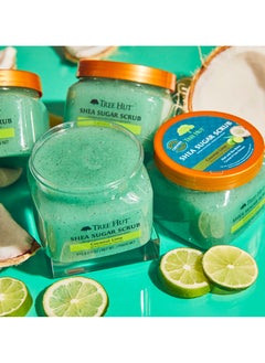 Tree Hut Shea Sugar Scrub with Coconut and Lemon 510g  - Image 4