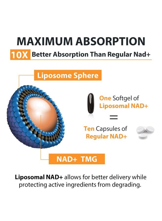 Orgabay Liposomal NAD+ Supplement 500 mg, High Absorption, Boost NAD+ with TMG 250 mg, Actual NAD Plus More Efficient Than Nicotinamide Riboside, Support Cellular Energy, Healthy Aging | 60 Softgels - Image 5