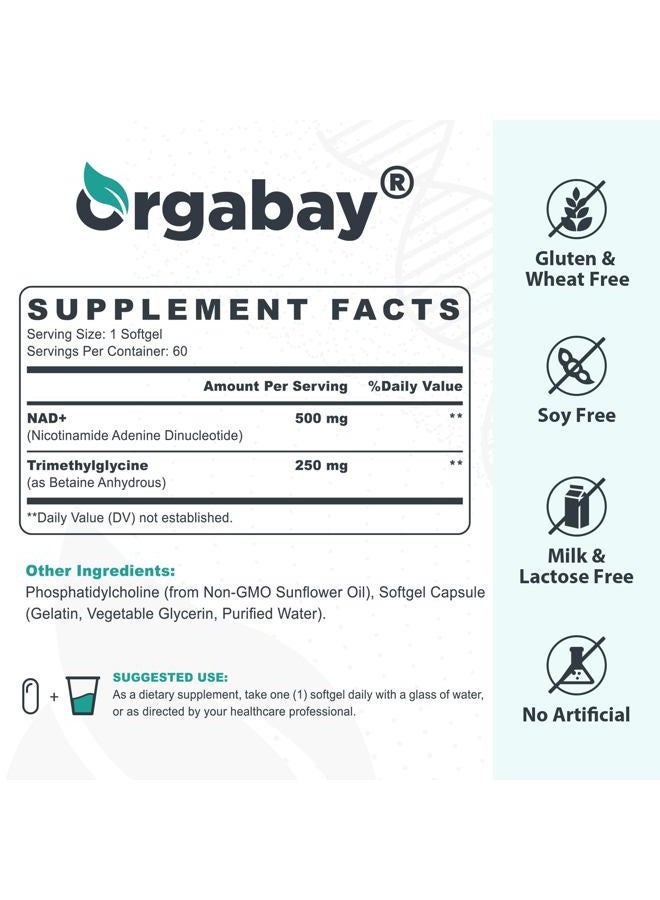 Orgabay Liposomal NAD+ Supplement 500 mg, High Absorption, Boost NAD+ with TMG 250 mg, Actual NAD Plus More Efficient Than Nicotinamide Riboside, Support Cellular Energy, Healthy Aging | 60 Softgels - Image 2