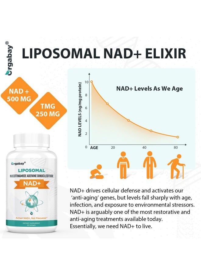 Orgabay Liposomal NAD+ Supplement 500 mg, High Absorption, Boost NAD+ with TMG 250 mg, Actual NAD Plus More Efficient Than Nicotinamide Riboside, Support Cellular Energy, Healthy Aging | 60 Softgels - Image 4