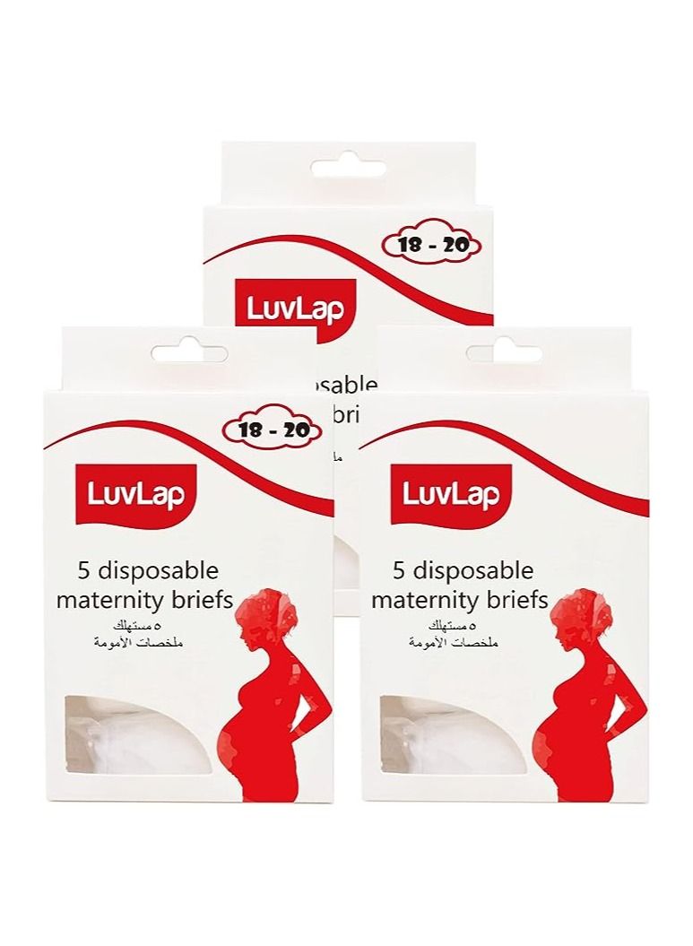 Luvlap ملابس داخلية نسائية للاستخدام مرة واحدة من لوفلاب (مقاس 18-20) (عبوة من 3 قطع)  - Image 1