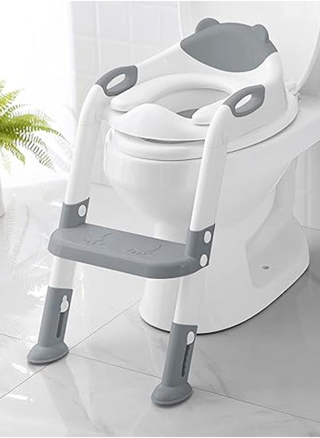Potty Training Seat with Step Stool Ladder, Potty Training Toilet Potty Seat - pzsku/Z43B3654B2453A3AAA3E1Z/45/_/1727409508/713b9c80-9ac6-40cc-982e-4c82d8fd6022
