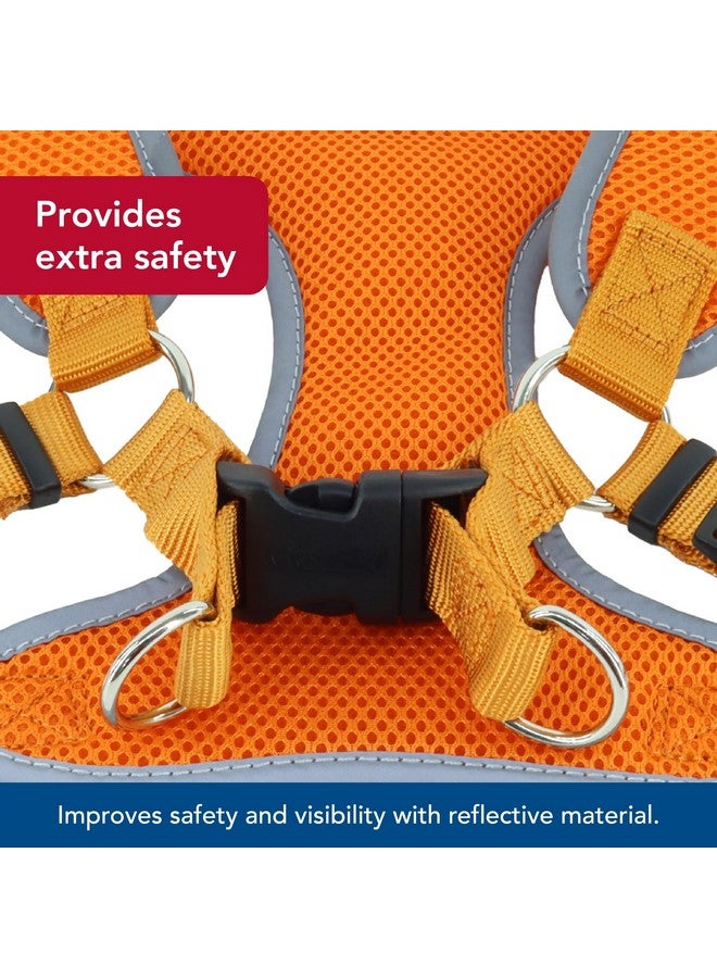 كوستال حزام كلب ناعم عاكس قابل للتعديل من Coastal Pet Comfort - حزام كلب لا يسحب للكلاب الصغيرة والكبيرة - برتقالي غروب الشمس - 5/8 بوصة × 16 بوصة - 19 بوصة - Image 4
