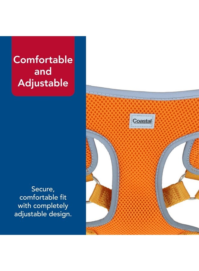 كوستال حزام كلب ناعم عاكس قابل للتعديل من Coastal Pet Comfort - حزام كلب لا يسحب للكلاب الصغيرة والكبيرة - برتقالي غروب الشمس - 5/8 بوصة × 16 بوصة - 19 بوصة - Image 5