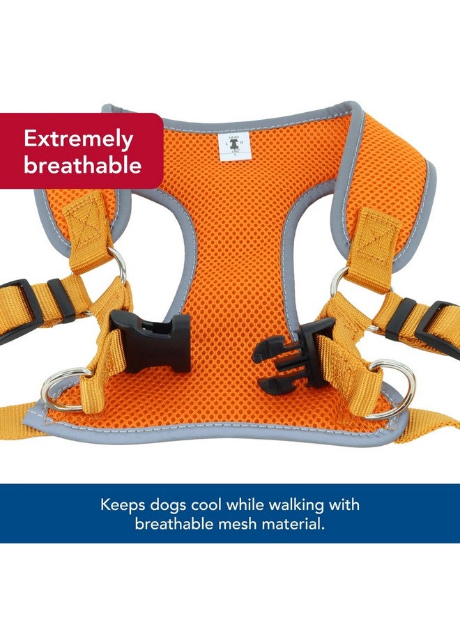 كوستال حزام كلب ناعم عاكس قابل للتعديل من Coastal Pet Comfort - حزام كلب لا يسحب للكلاب الصغيرة والكبيرة - برتقالي غروب الشمس - 5/8 بوصة × 16 بوصة - 19 بوصة - Image 3
