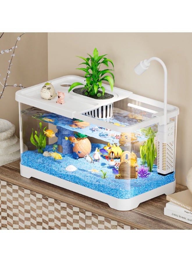 Fish Aquarium Tank, Ultra Clear Fish Bowls with Oxygen Pump, Multi-Function Acrylic Fish Tank with Lamp and  Detachable Cover for Turtles Crabs Fishes Amphibians Reptiles, 38*21*21cm, Clear - Image 3