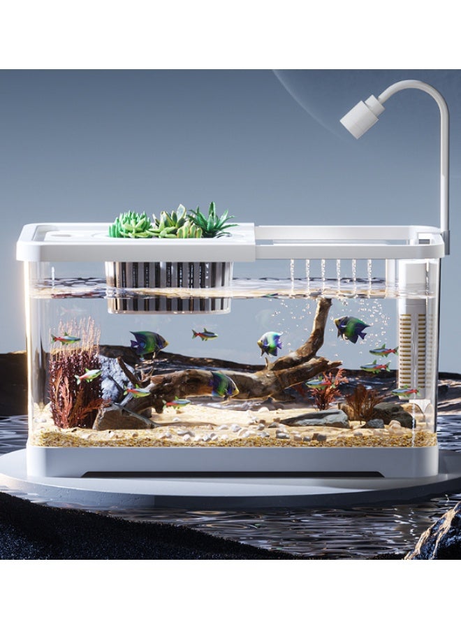 Fish Aquarium Tank, Ultra Clear Fish Bowls with Oxygen Pump, Multi-Function Acrylic Fish Tank with Lamp and  Detachable Cover for Turtles Crabs Fishes Amphibians Reptiles, 38*21*21cm, Clear - Image 5