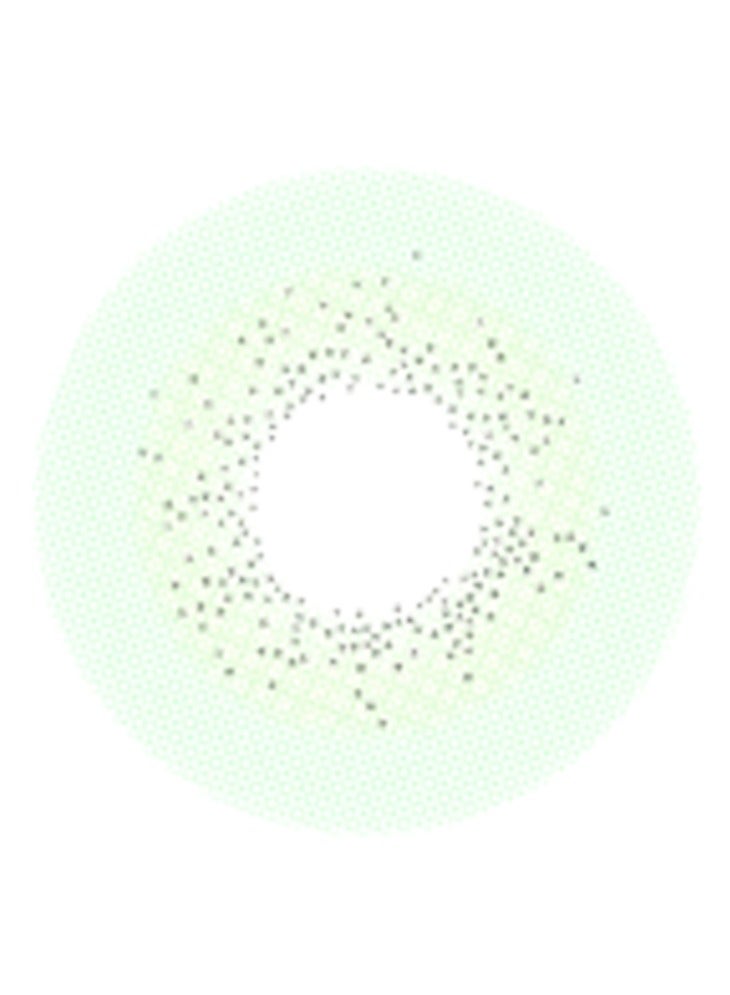 تشوميل عدسات لاصقة خضراء لمدة ستة أشهر —— عدستان - Image 2