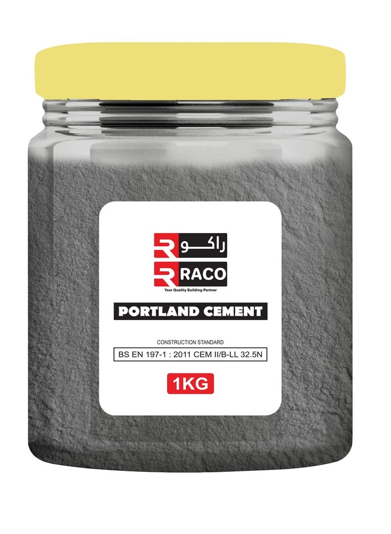 RACO RACO Quickset Portland Cement Construction Quality Cement Powder for Household and DIY Projects 1 Kg  - Image 1