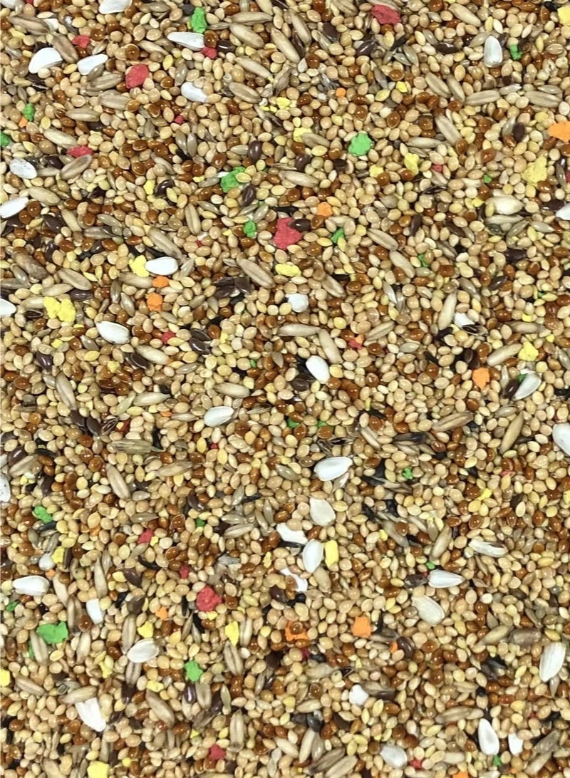 فارما Farma فارما فرندز بادجي هو خليط بذور طبيعي عالي الجودة مُصمم خصيصًا لطيور البادجي, طيور الحب, وجميع عصافير وطيور الزينة - 1 كجم - Image 3