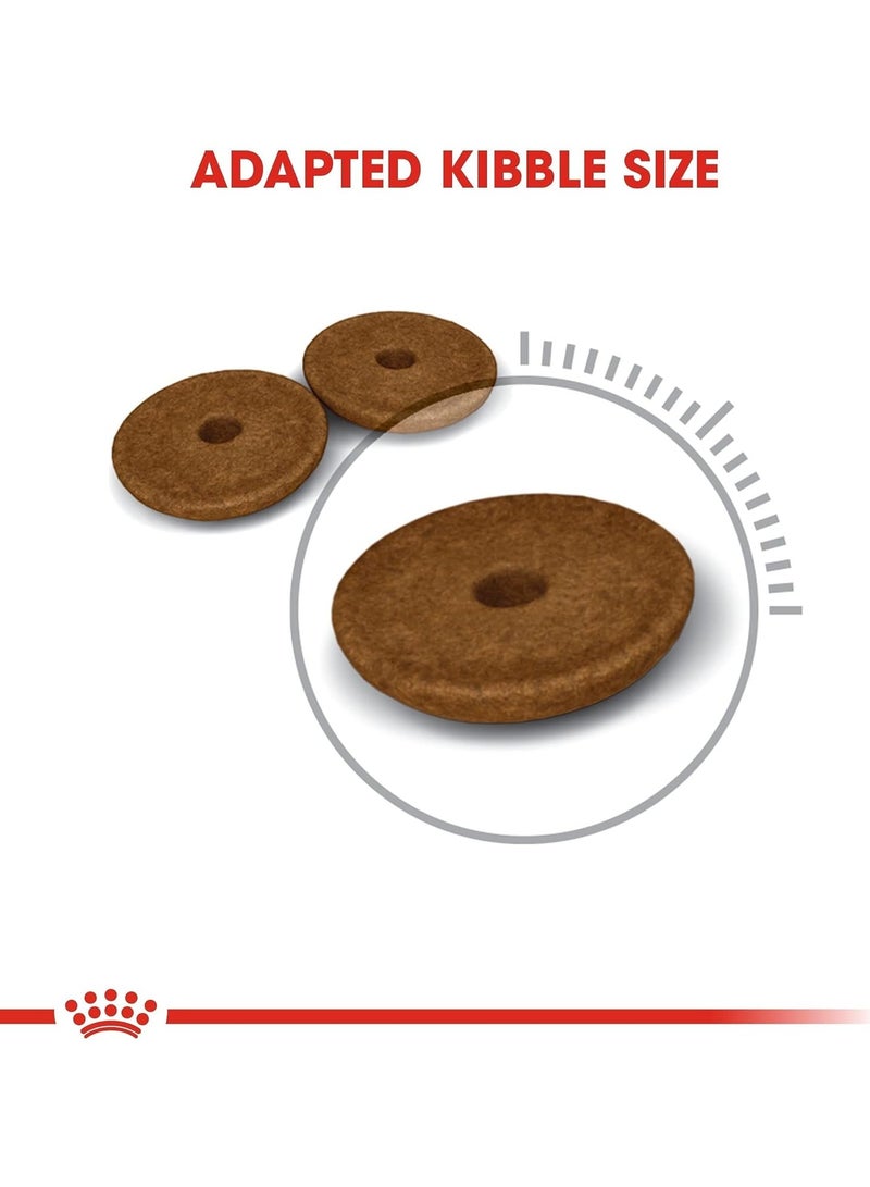 رويال كانين Fcn، طعام جاف للقطط، 2 كجم، طعام جاف للقطط - Image 4