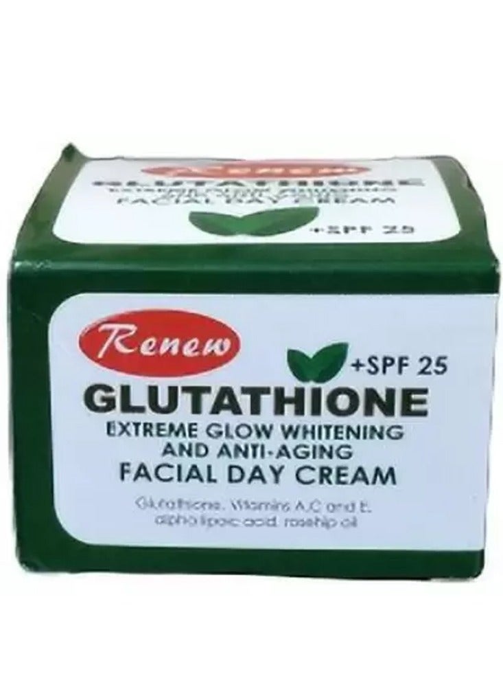 Renew Glutathione Extreme Glow Whitening & Anti-Aging Facial Day Cream 20gm - Image 1