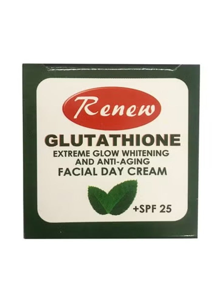 Renew Glutathione Extreme Glow Whitening & Anti-Aging Facial Day Cream 20gm - Image 2