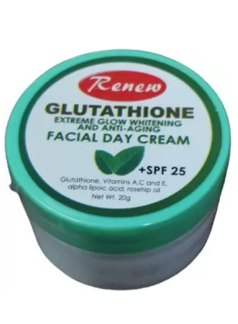 Renew Glutathione Extreme Glow Whitening & Anti-Aging Facial Day Cream 20gm - Image 3