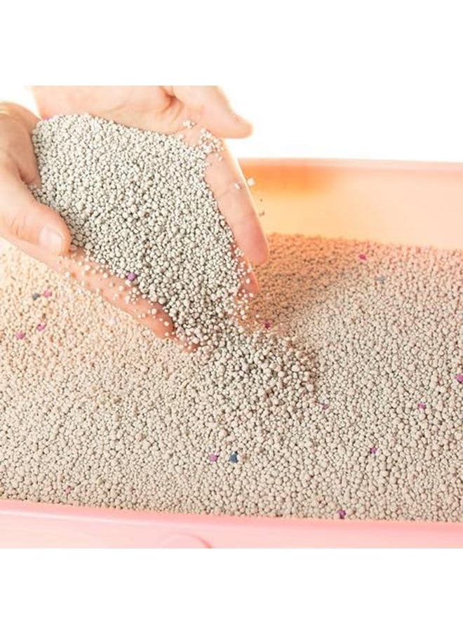 ECVV - Cool Clean Clumping Cat Litter Minerals Litter Sand It'S Fast Clumping And Highly Absorbent Nature Ensures Your Cat To Come Back To Its Cat Litter Box With Comfort Apple 10 Liter - Image 1