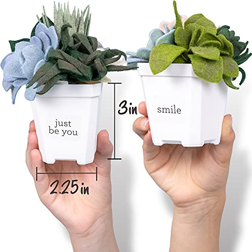 Hapinest DIY Potted Felt Succulents Craft Kit for Adults Women Teens and Seniors, Arts & Crafts for Ages 6 Years and Up - Image 3