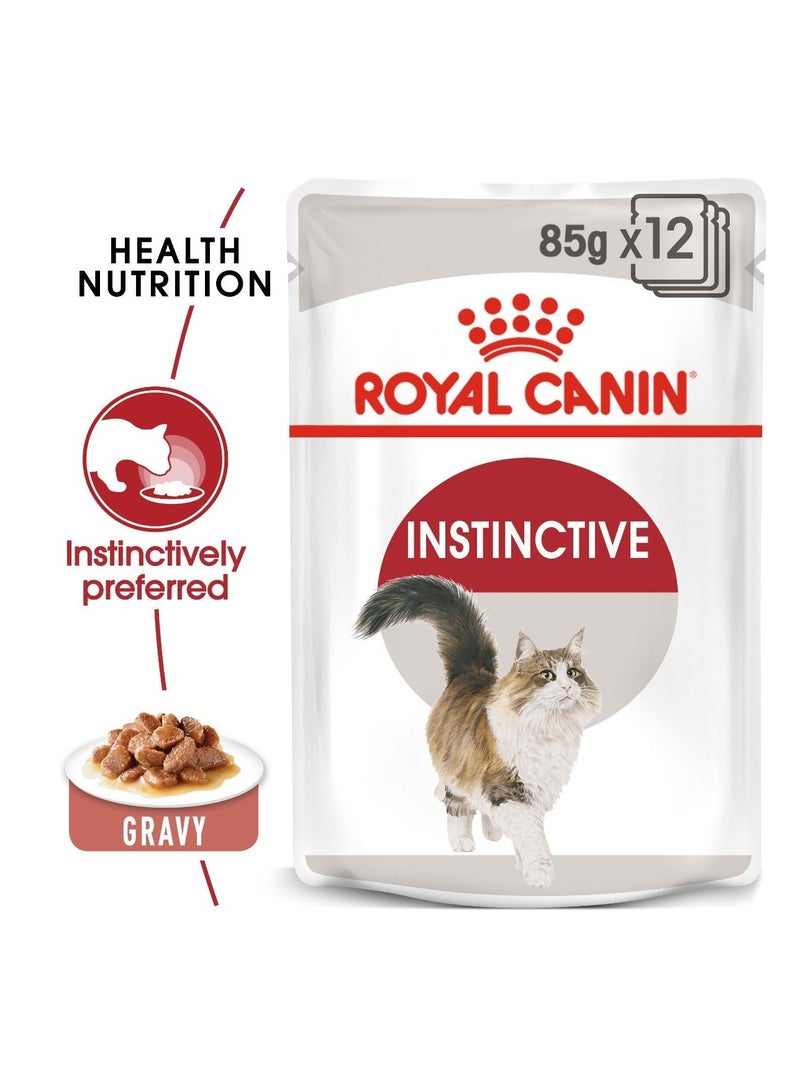 رويال كانين فيلين نيوتريشن إنستينكتيف، طعام القطط البالغة، مرق (طعام رطب - أكياس) 12 × 85 جم - Image 4