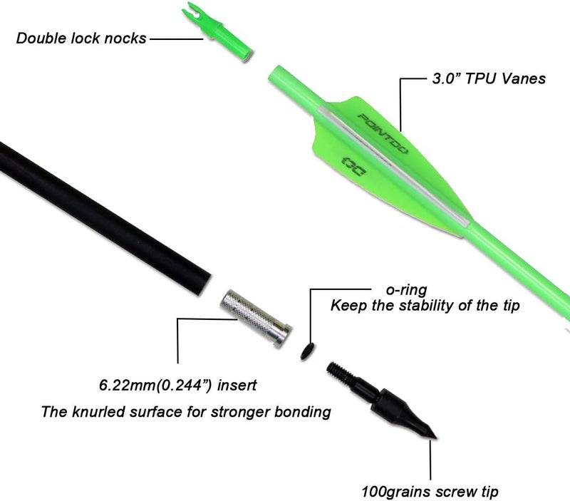 Pointdo 30inch Carbon Arrow Fluorescence Color Targeting and Practice and Hunting Arrows for Compound Bow and Recurve Bow with Removable Tips(Pack of 12) - Image 2