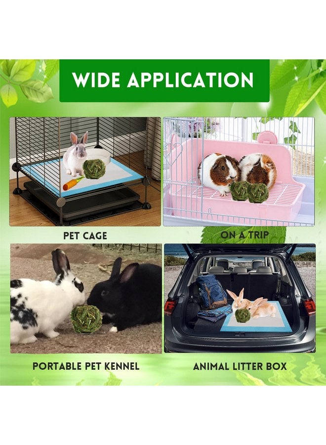 كاثسون كرات عشب الأرانب الطبيعية من كاتسون، ألعاب مضغ عشب تيموثي، لعبة ضرس منسوج طبيعي، كرات لعب نشاط الأرنب لشنشيلة والهامستر وخنزير غينيا والحيوانات الصغيرة (6 قطع) - Image 2