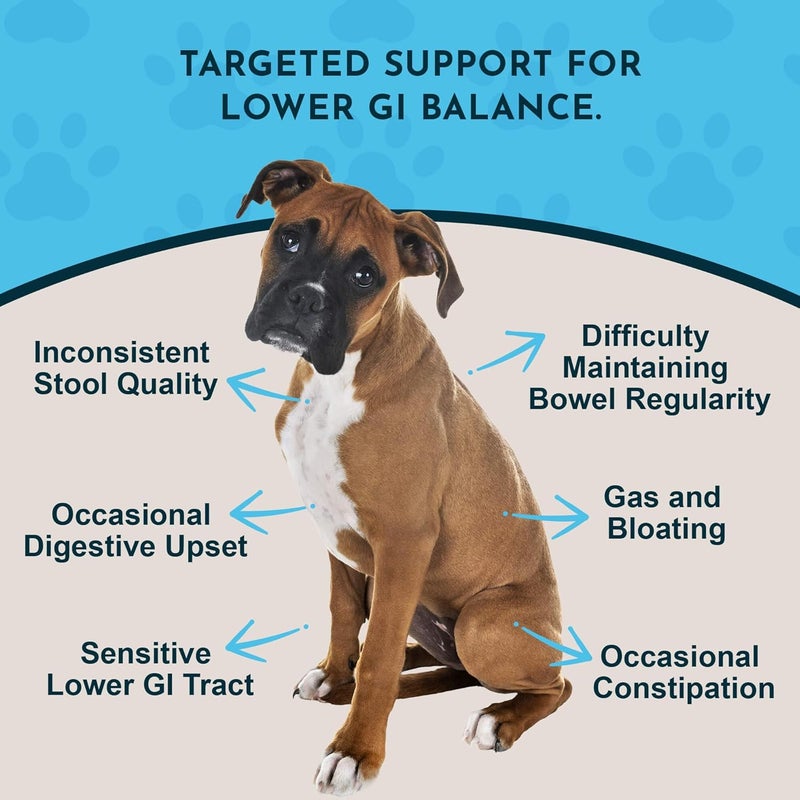Animal Essentials Colon Rescue Herbal Tonic Blend for Dogs and Cats - 1 Fl Oz - Image 2