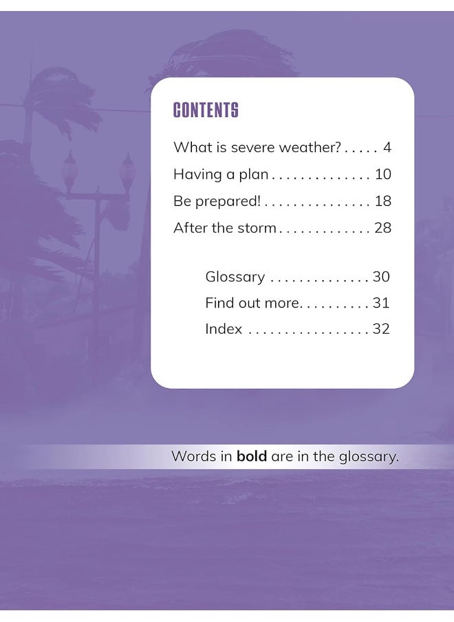 How Do People Prepare for Severe Weather?  - Image 2
